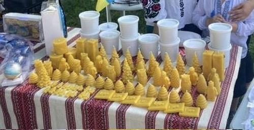 Пасіка Соколович